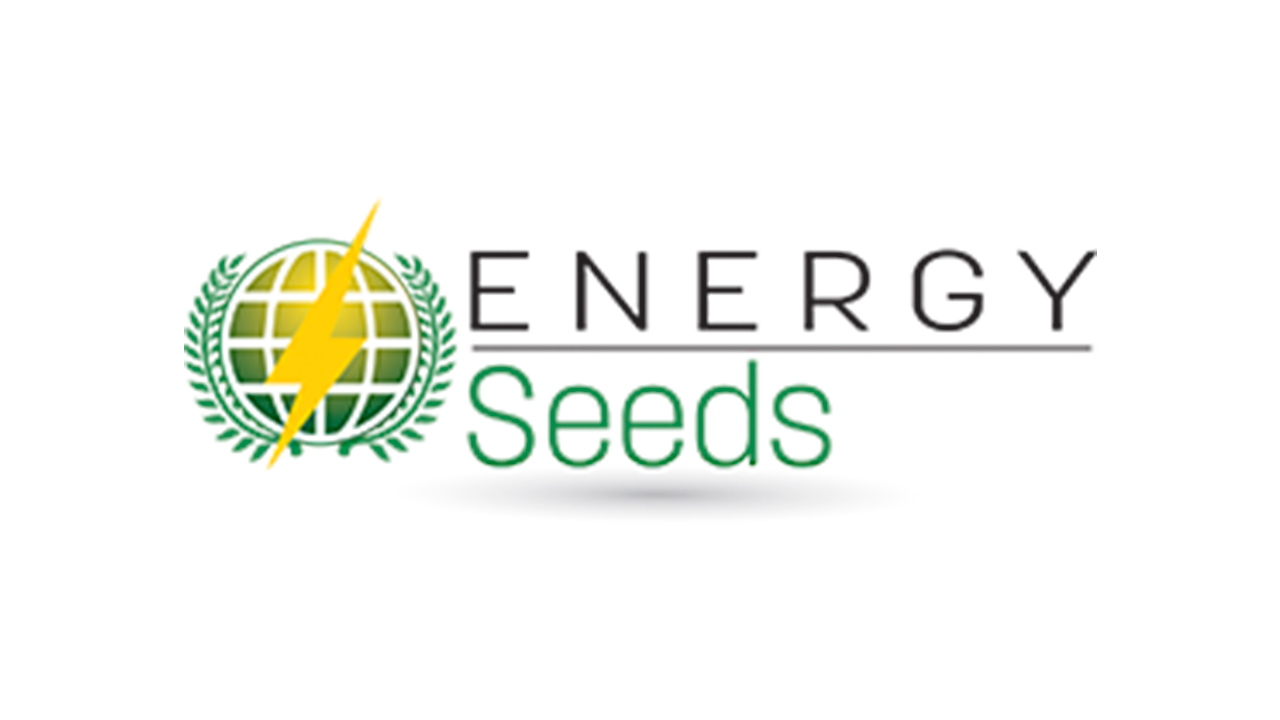 energy-seeds-distribution-semences-haute-garonne
