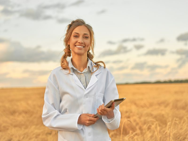 Energy Seeds - agronome champs tablette semences mais et tournesol