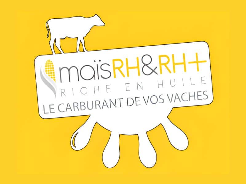 mais rh et rh plus
